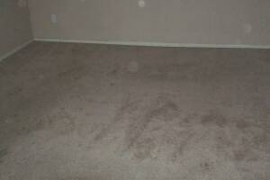 Hauling Moving Cleanups Apartment - Hauling