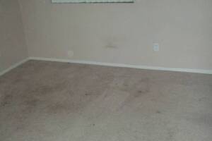 Hauling Moving Cleanups Apartment - Hauling