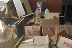 Hauling Moving Cleanups Garage Boxes - Hauling