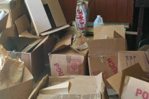 Hauling Moving Cleanups Garage Boxes - Hauling