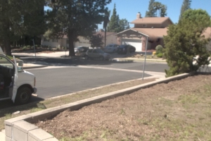 Landscaping Yard Brush Cleanup - Landscaping