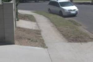 Landscaping Yard Brush Cleanup - Landscaping