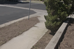 Landscaping Yard Brush Cleanup - Landscaping