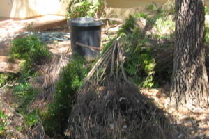 Landscaping Yard Brush Removal - Landscaping