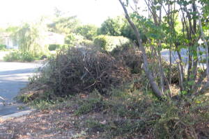 Landscaping Yard Brush Removal - Landscaping