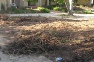 Landscaping Yard Brush Removal - Landscaping