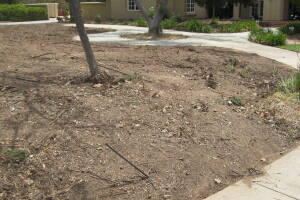 Landscaping Yard Brush Removal - Landscaping