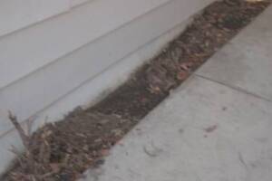 Landscaping Yard Brush Weed Removal - Landscaping