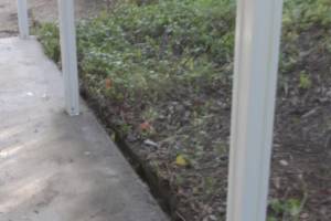 Landscaping Yard Brush Weed Removal - Landscaping