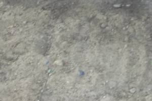 Landscaping Yard Brush Weed Removal - Landscaping