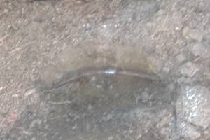 Landscaping Yard Fountain Hose Repair - Landscaping