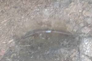 Landscaping Yard Fountain Hose Repair - Landscaping