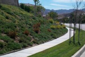 Landscaping Yard Maintenance Upkeep - Landscaping