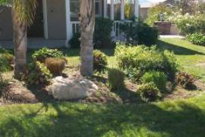 Landscaping Yard Maintenance Upkeep - Landscaping