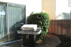 Landscaping Yard Overgrown Brush Weed Removal - Landscaping