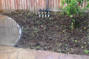 Landscaping Yard Overgrown Brush Weed Removal - Landscaping