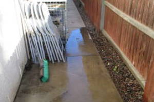 Landscaping Yard Overgrown Brush Weed Removal - Landscaping