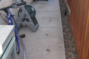 Landscaping Yard Overgrown Brush Weed Removal - Landscaping
