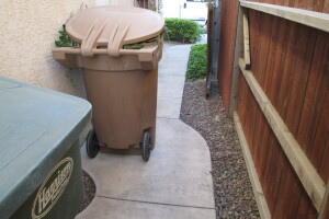 Landscaping Yard Overgrown Brush Weed Removal - Landscaping