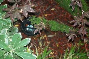 Landscaping Lighting Lamp Repair - Landscaping
