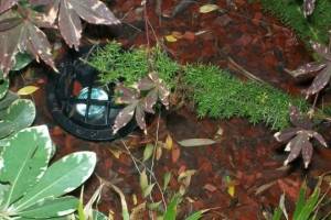 Landscaping Lighting Lamp Repair - Landscaping