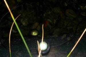 Landscaping Lighting Lamp Repair - Landscaping