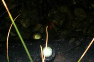 Landscaping Lighting Lamp Repair - Landscaping