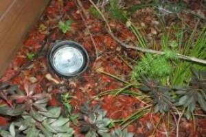 Landscaping Lighting Lamp Repair - Landscaping