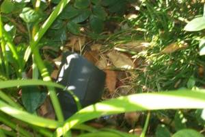Landscaping Lighting Lamp Repair - Landscaping