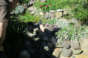 Landscaping Lighting Spotlight Repair - Landscaping