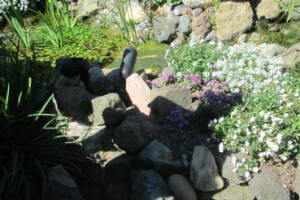 Landscaping Lighting Spotlight Repair - Landscaping