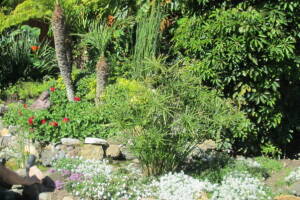 Landscaping Lighting Spotlight Repair - Landscaping
