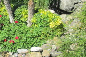 Landscaping Lighting Spotlight Repair - Landscaping