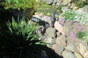 Landscaping Lighting Spotlight Repair - Landscaping