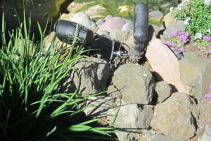 Landscaping Lighting Spotlight Repair - Landscaping