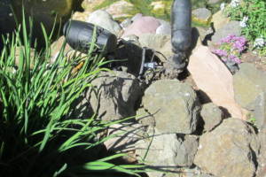 Landscaping Lighting Spotlight Repair - Landscaping