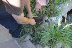 Landscaping Lighting Spotlight Repair - Landscaping