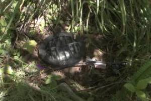 Landscaping Lighting System Maintenance - Landscaping