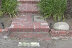 Landscaping Lighting System Replacement - Landscaping