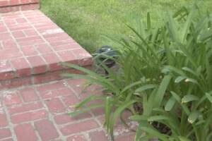 Landscaping Lighting System Replacement - Landscaping