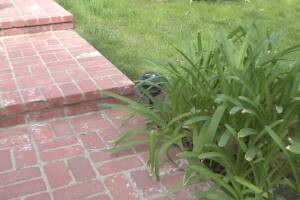 Landscaping Lighting System Replacement - Landscaping
