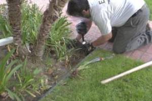 Landscaping Lighting System Replacement - Landscaping