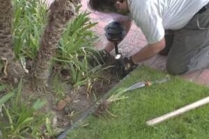 Landscaping Lighting System Replacement - Landscaping