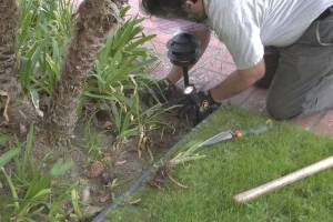 Landscaping Lighting System Replacement - Landscaping