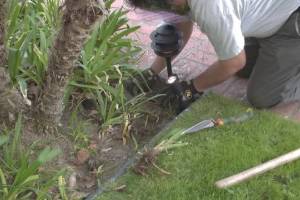 Landscaping Lighting System Replacement - Landscaping