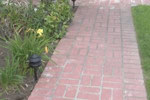 Landscaping Lighting System Replacement - Landscaping