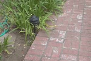 Landscaping Lighting System Replacement - Landscaping