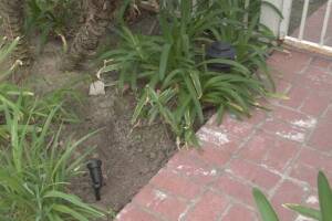 Landscaping Lighting System Replacement - Landscaping