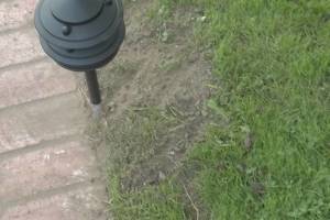 Landscaping Lighting System Replacement - Landscaping