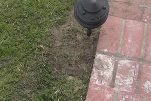 Landscaping Lighting System Replacement - Landscaping